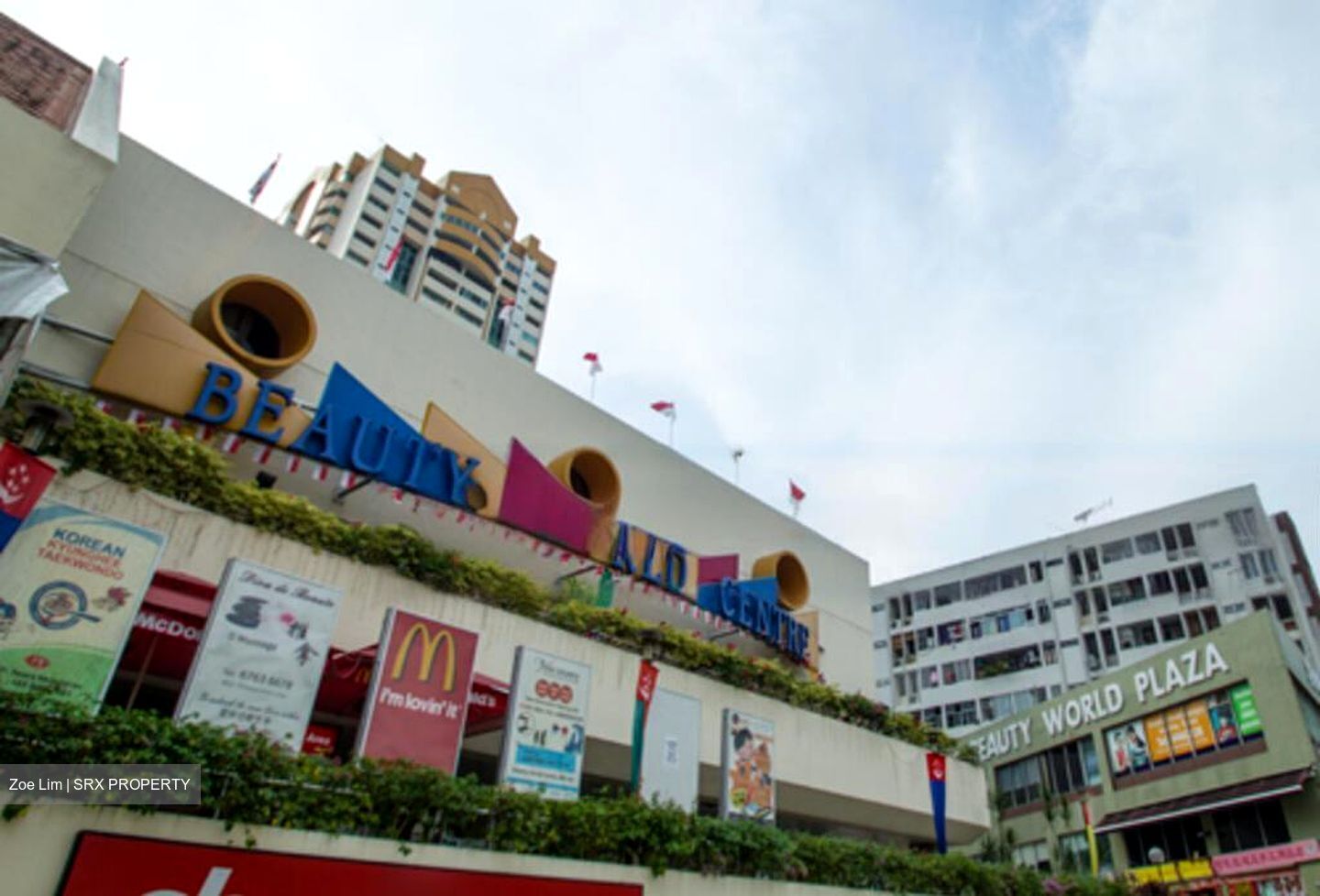 Upper Bukit Timah Road (D21), Terrace #458572611